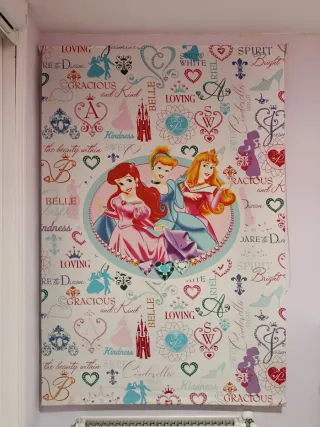 Estor enrollable Disney Princesas