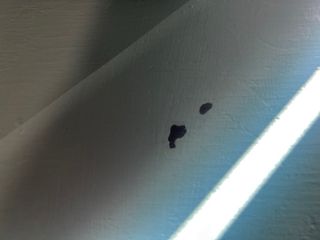 Cómoda azul de madera de pino