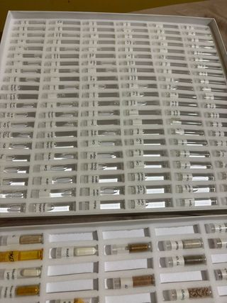 Kit Kinesiología Testaje