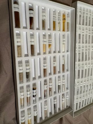 Kit Kinesiología Testaje