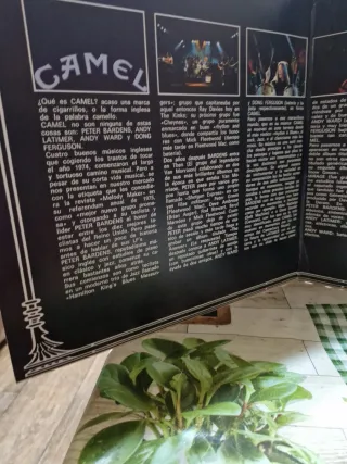 Vinilo Camel - Mirage