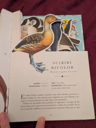 El libro-diorama de las aves