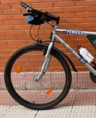 Bicicleta Montaña  Big Team