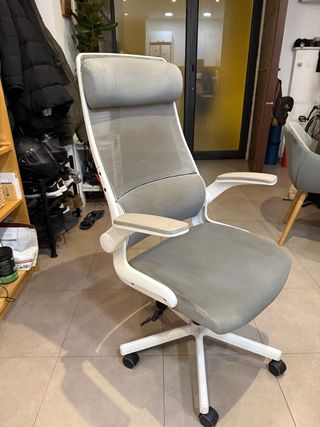 Silla de escritorio ergonómica gris y blanca