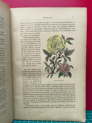 La leyenda de las plantas – Carlos Mendoza