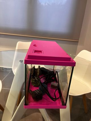 Acuario Pecera 16L Agua Fría Rosa con complementos