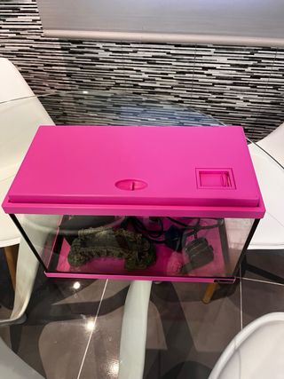 Acuario Pecera 16L Agua Fría Rosa con complementos