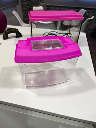 Acuario Pecera 16L Agua Fría Rosa con complementos