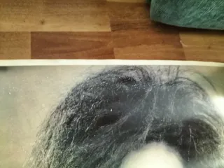 Póster Fangoria vintage