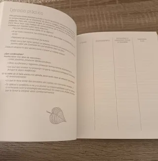 Mi diario de meditación: Un año de actividades ...