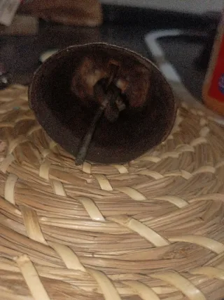 Cencerro antiguo latón