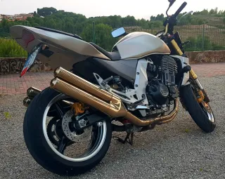 Kawasaki Z1000 Naked Plata y Oro