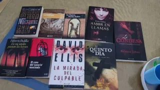 Lote de libros