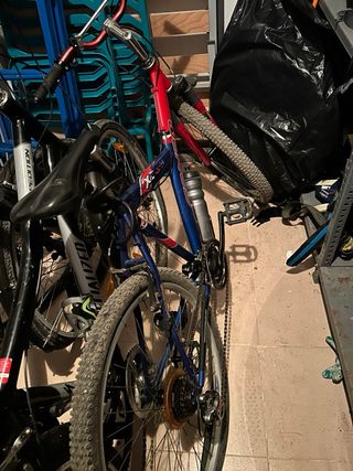 Lote de 5 Bicicletas