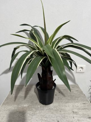 Planta artificial decorativa