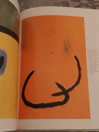 Libro Joan Miró