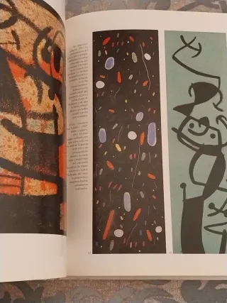 Libro Joan Miró