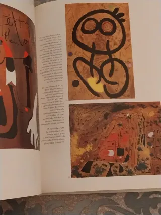 Libro Joan Miró