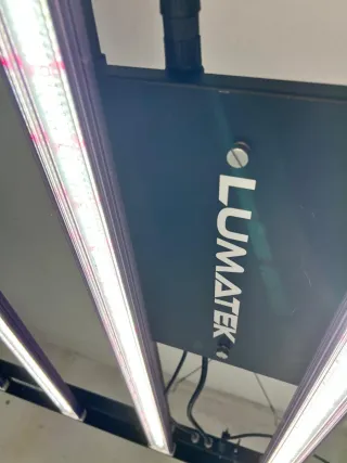 Lumatek Zeus 600W Pro 2.9 LED