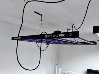 Lumatek Zeus 600W Pro 2.9 LED