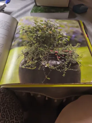 El huerto en macetas/ Crops In Pots: 50 proyect...