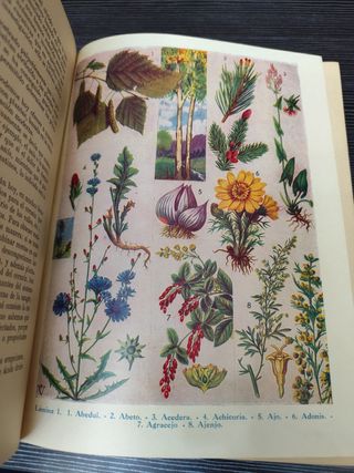 Plantas Medicinales Dr. Vander (1962) - Ed. Sintes