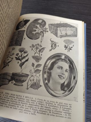 Plantas Medicinales Dr. Vander (1962) - Ed. Sintes