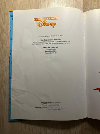 Libro infantil Robin Hood