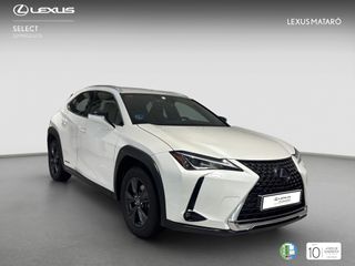 LEXUS UX 2.0 250H BUSINESS AUTO 184 5P