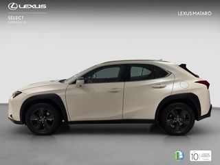 LEXUS UX 2.0 250H BUSINESS AUTO 184 5P