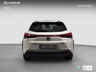 LEXUS UX 2.0 250H BUSINESS AUTO 184 5P