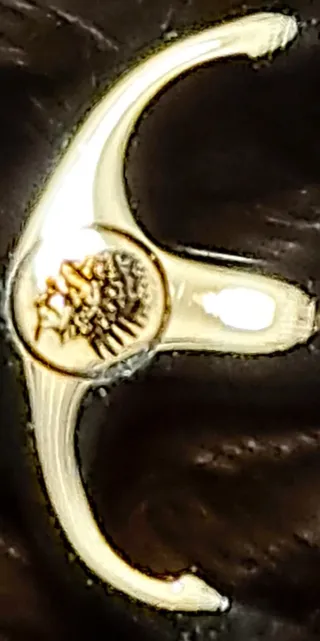 Bracciale uomo nautico oro e grigio