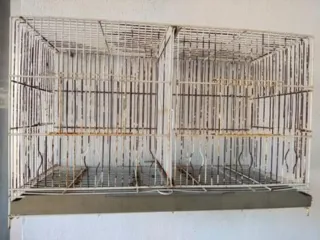 Jaulones para canarios