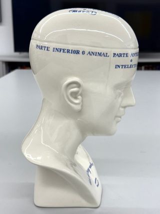 Cabeza frenológica Cartuja Sevilla