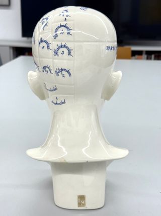 Cabeza frenológica Cartuja Sevilla