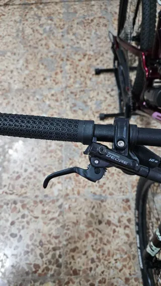 BH Lynx Race RC Carbono 29”