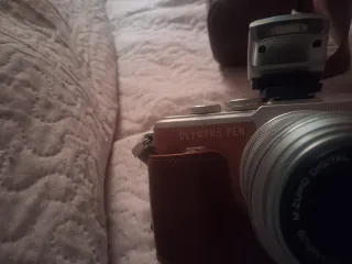 Cámara Olympus Marrón/Plata