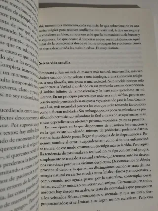 Los idiomas del ornamento la Aljafería y la Alh...
