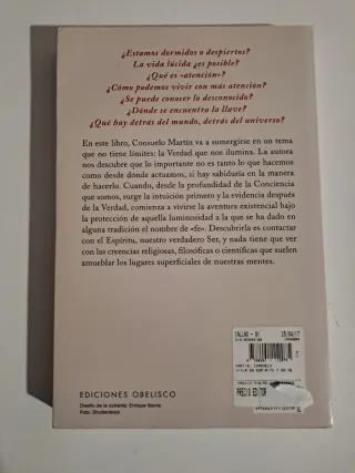 Los idiomas del ornamento la Aljafería y la Alh...