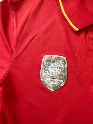Polo Oficial España Campeones Mundo 2010