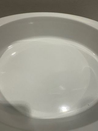 Fuente de horno Vista Alegre Biznaga