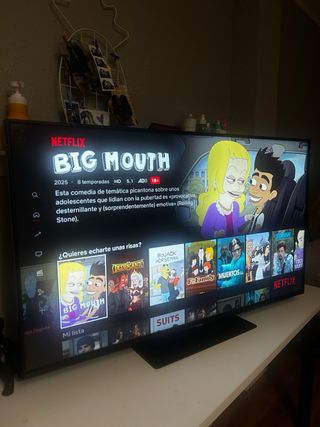 TV Philips 49 Smart 4K UHD