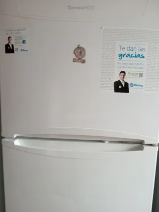 Frigorífico congelador Balay 175cm Blanco