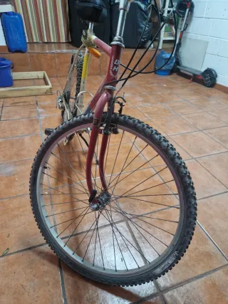 Bicicleta de Montaña BH Force 12