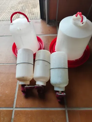 Bebederos para pájaros (pack 5 + 7)