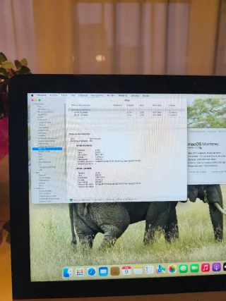 iMac 21,5 2015 Plata