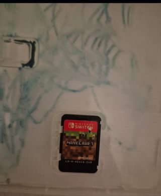 Minecraft Nintendo Switch