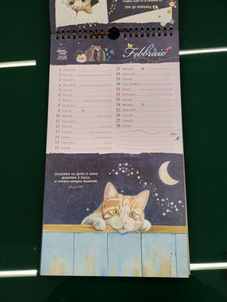 Il gatto e la luna. Calendario 2026