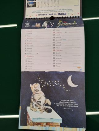 Il gatto e la luna. Calendario 2026