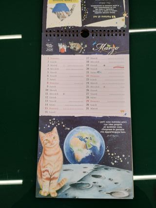 Il gatto e la luna. Calendario 2026